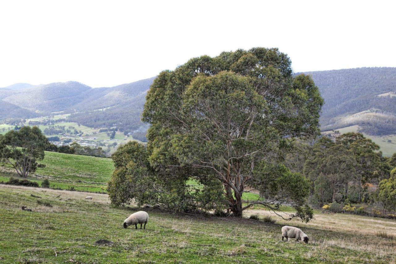 House On The Hill Bed And Breakfast Huonville Exterior foto